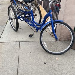 Schwinn Classic Bike