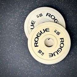 Rogue Fitness 10 LBs Change Plates (FIRM)