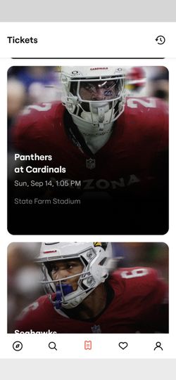 Arizona Cardinals 4 Seats Vs Panthers