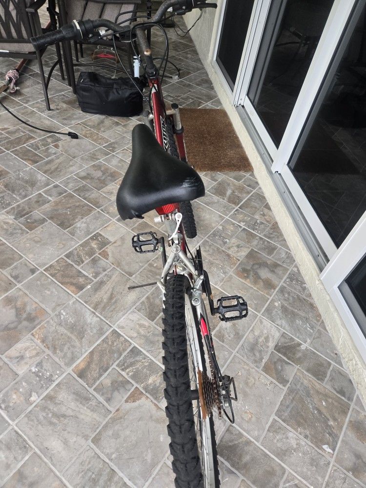 Mountain Bike $100