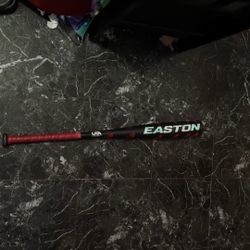 Easton Quantum  31in