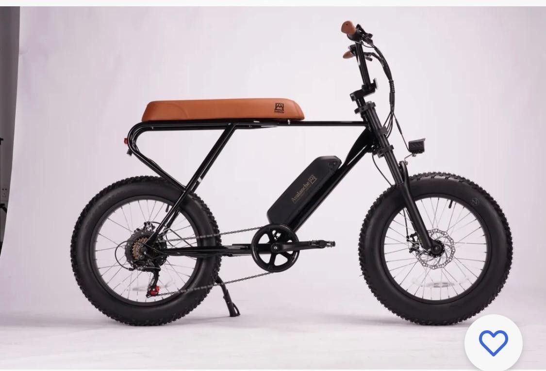 Avalanche Fat Tire E-Bike