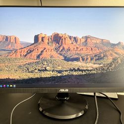ASUS VA24DQ 23.8” Monitor