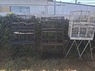 Bird Cages 🐦 🐦🐦