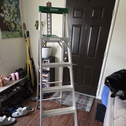 Werner 6ft Aluminum Ladder