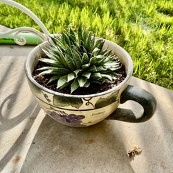 Large Coffee Cup Planter