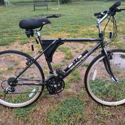 Mounting Gold Bike By DAHON