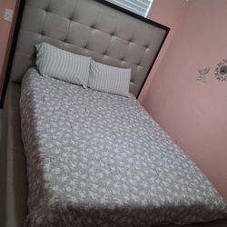 Cama Queen Elegante 