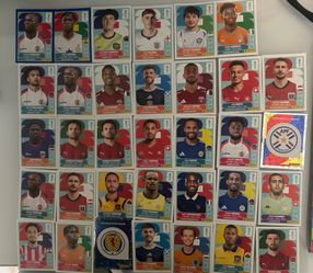 Panini World Cup stickers trade