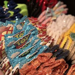 Disney Character Ears 