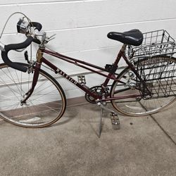 Raleigh 555 SL Unisex 10 Speed Bicycle with baskets headlight taillight