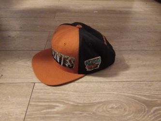 Memphis Grizzlies Snap Back
