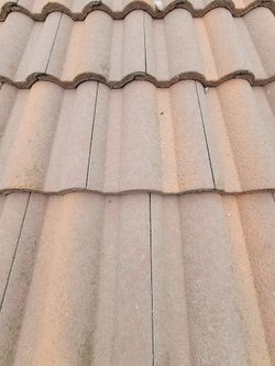 Eagle Style Roof Tile