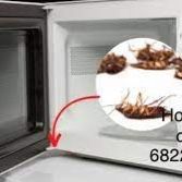 Fumigador Eficaz Total 