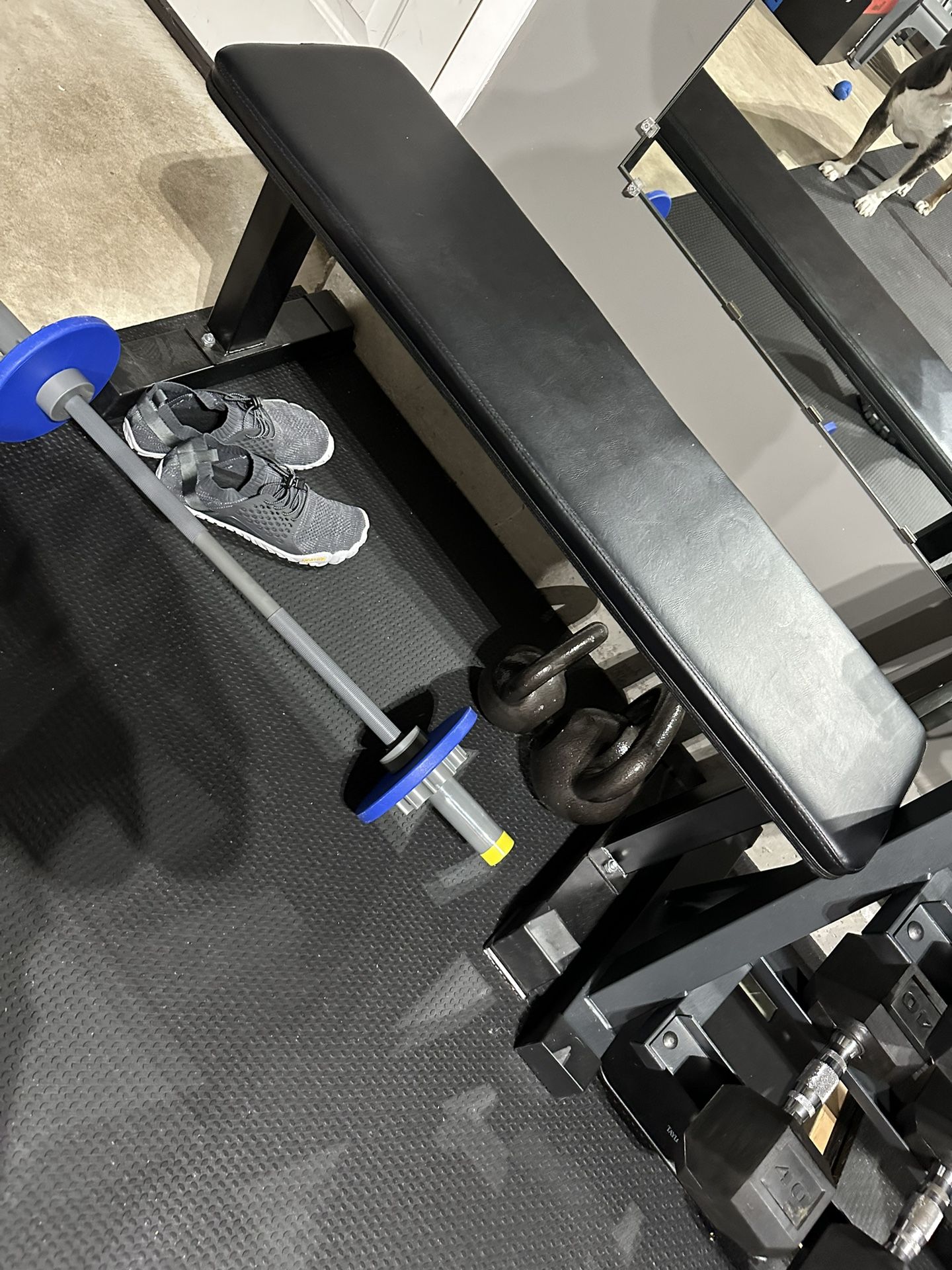 Weight Bench