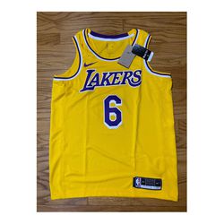 Nike Lakers Icon Edition Nba Swingman Jersey #6 Lebron James Men’s Sz M New!!