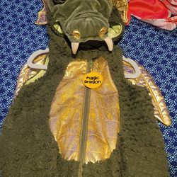 Toddler Dragon Costume