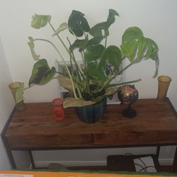 Brown Wood Table 