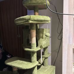 JUNGLE CAT TREE 🌴🐈‍⬛
