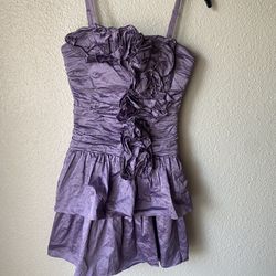 Brand New Woman’s BCBG MAXAZRIA brand Purple Dress Up For Sale 