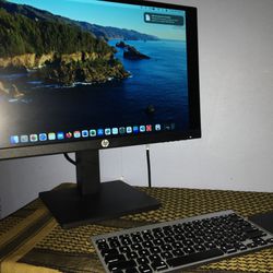 HP Desktop Monitor/ Apple Mouse Bundle