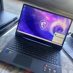 MSI Raider GE76 Gaming Laptop 