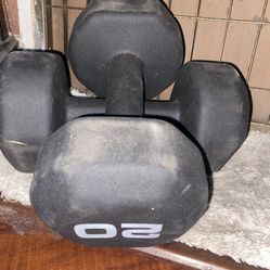 2 X 20 lbs  Weights 