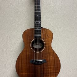 Taylor GS Mini