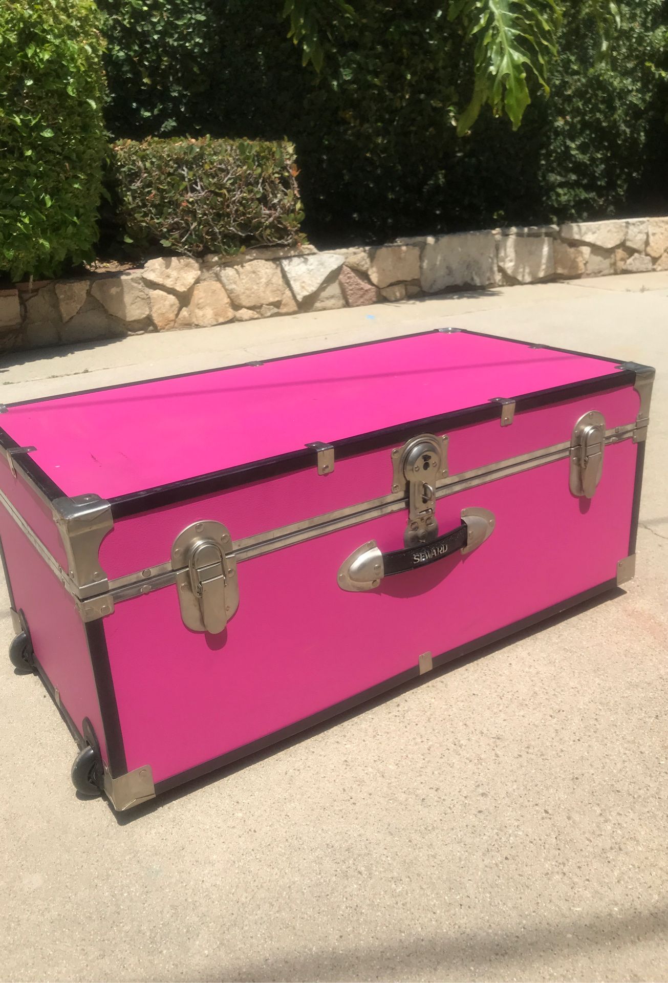 Pink Trunk Chest