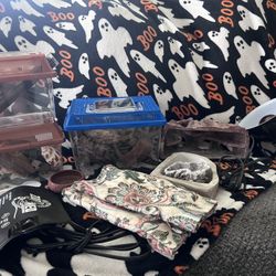 Reptile Supplies