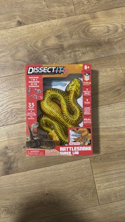 STEM Science Toy – Dissect It Rattlesnake Lab (NEW)