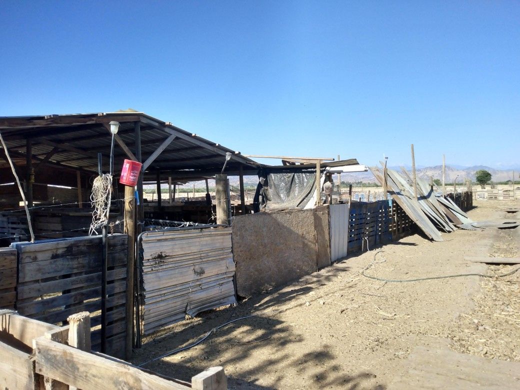 Pallet corral build. different price livestock