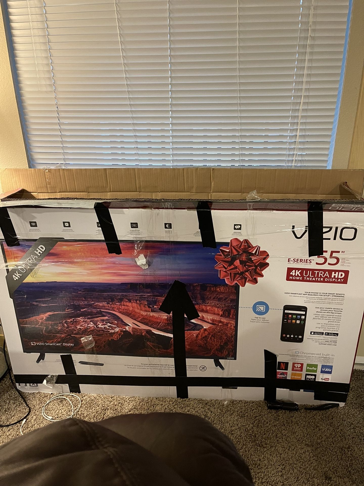 Vizio 55 Inch
