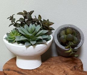 Set Of 2 Faux Artificial Succulent Arrangement Pots Decor