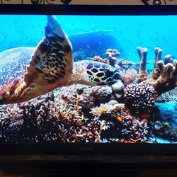Sony KDL-46W4150 46" 1080p Bravia LCD TV