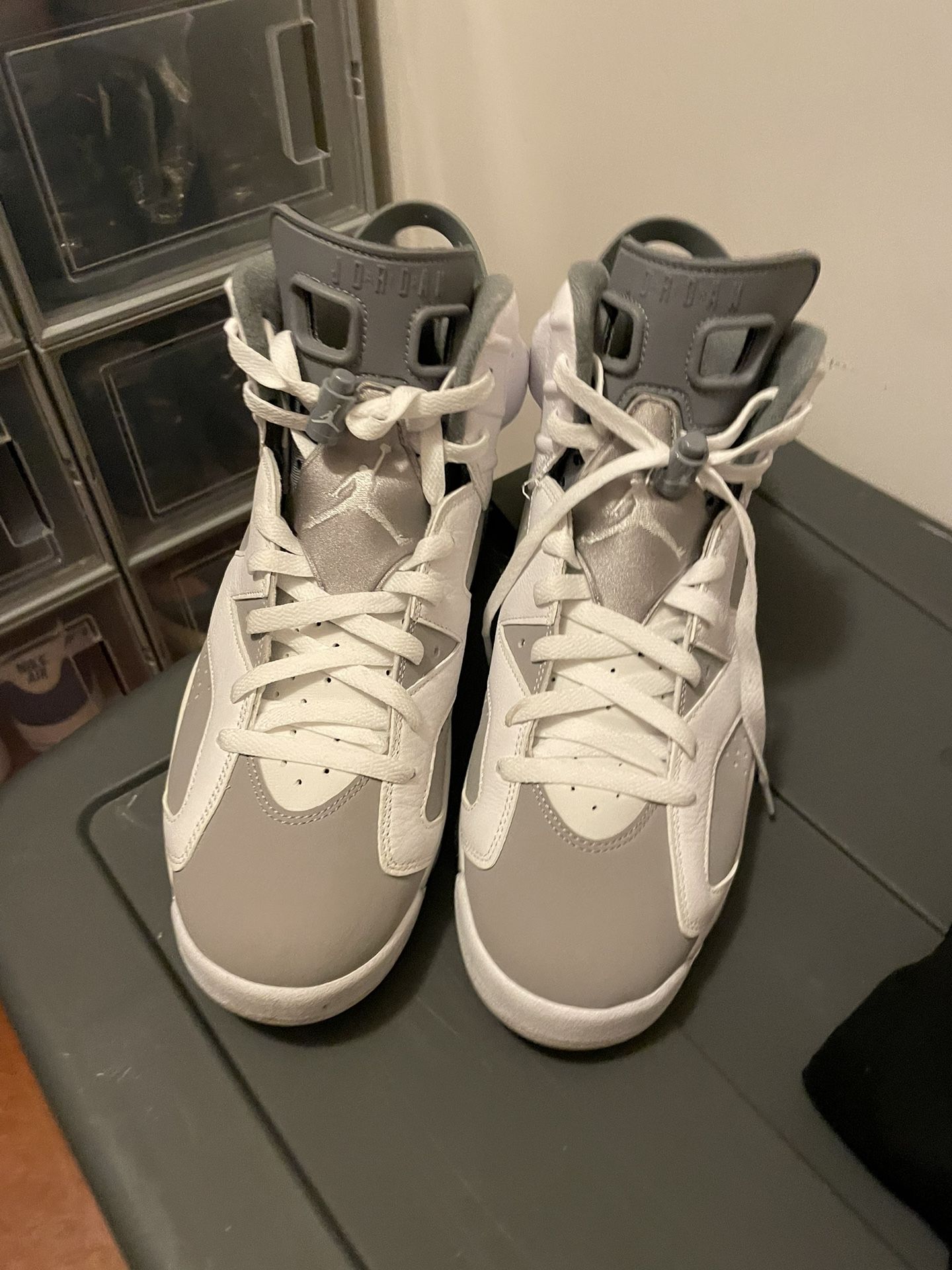 Cool Gray Jordan 6