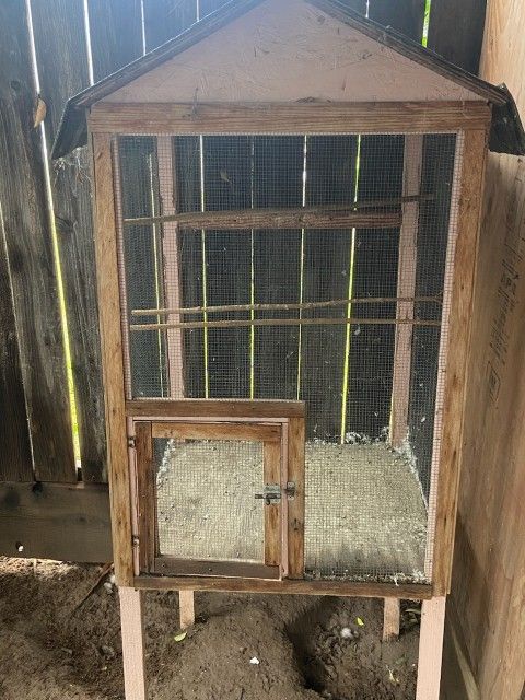 Bird Cage