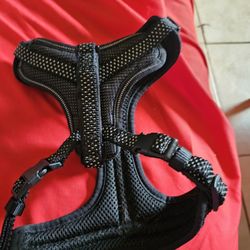 Dog Harness & Leash