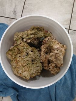 Aquarium saltwater rock