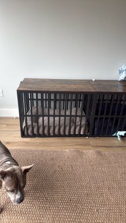 Dog kennel