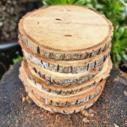 Natural Wood Slices (Centerpieces) Different Sizes/Different Prices 