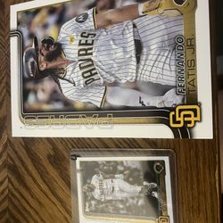 Fernando Tatis Jr. Big And Small Card