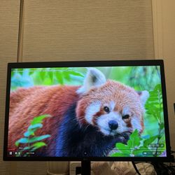 LG UltraFine 5k 27MD5KA - B