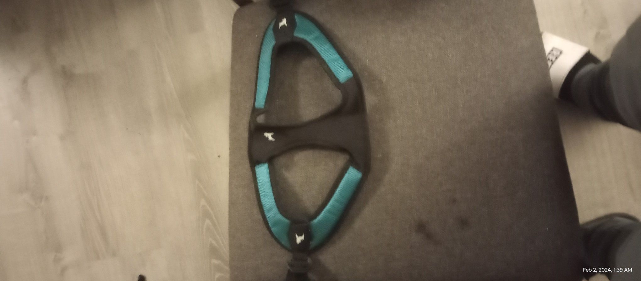 Puppy Training Harness