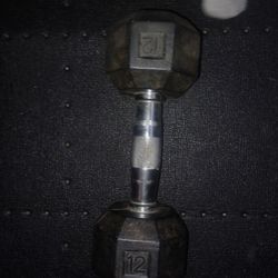 Dumbell Weight Single.