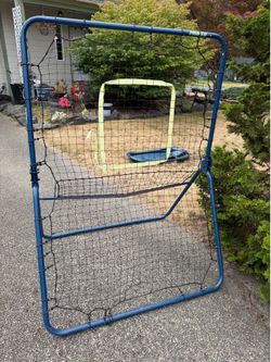 Baseball pitch back
