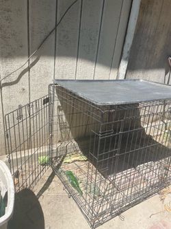 Large dog kennel