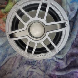 Jl Audio 10" Subwoofer 