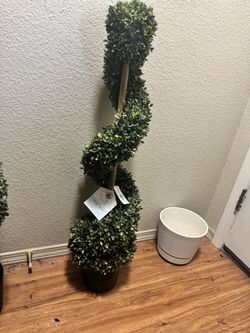 36” Topiary New