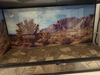Reptile Terrarium with Desert Background